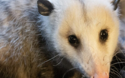 Warmest Wishes to all our Family and Friends