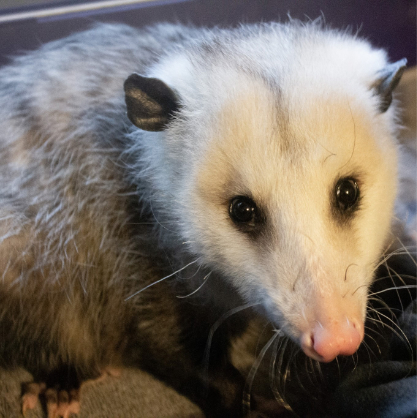 Warmest Wishes to all our Family and Friends