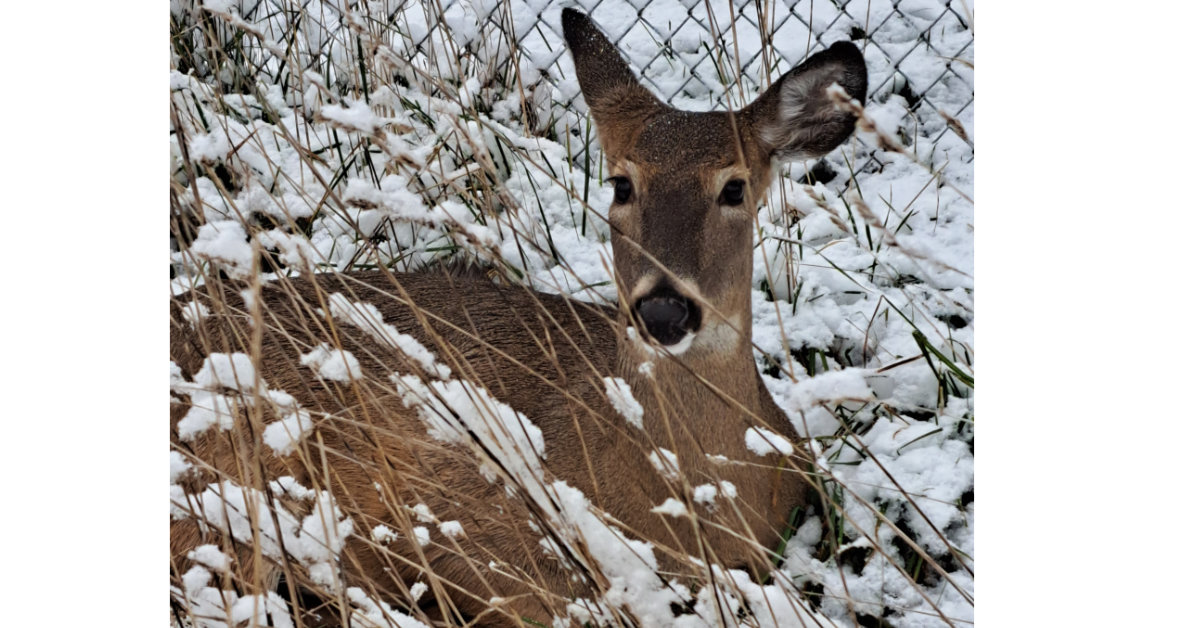 Nook blog images_1200x628 The Seeds of Change